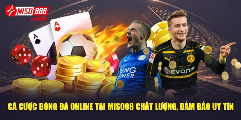 Cá cược bóng đá online tại Miso88 chất lượng, đảm bảo uy tín