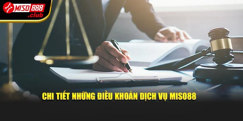 Chi tiết những điều khoản dịch vụ Miso88