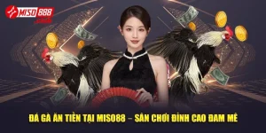 Đá Gà Ăn Tiền Tại MISO88 – Sân Chơi Đỉnh Cao Đam Mê