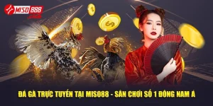 Đá Gà Trực Tuyến Tại MISO88 - Sân Chơi Số 1 Đông Nam Á