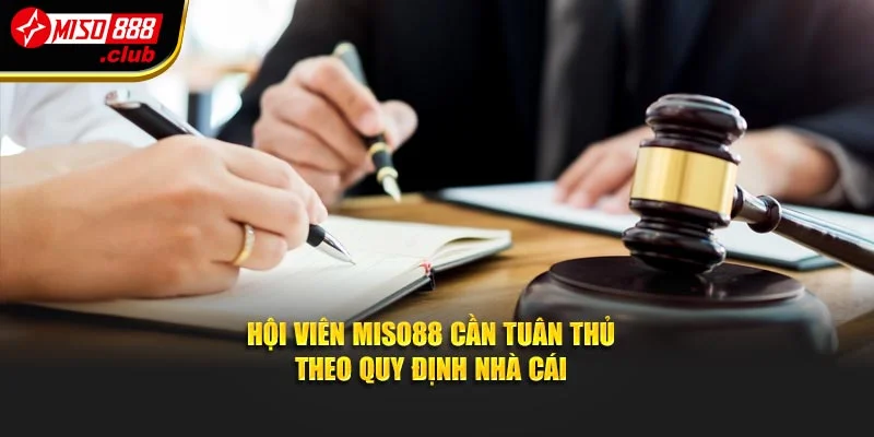 Hội viên Miso88 cần tuân thủ theo quy định nhà cái