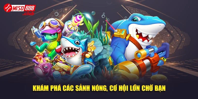 Khám phá các sảnh nóng, cơ hội lớn chờ bạn