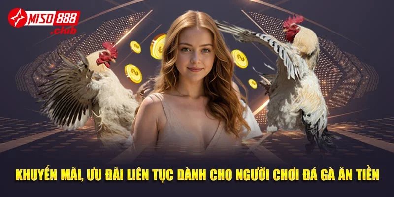 Khuyến mãi, ưu đãi liên tục dành cho người chơi đá gà ăn tiền tại MISO88