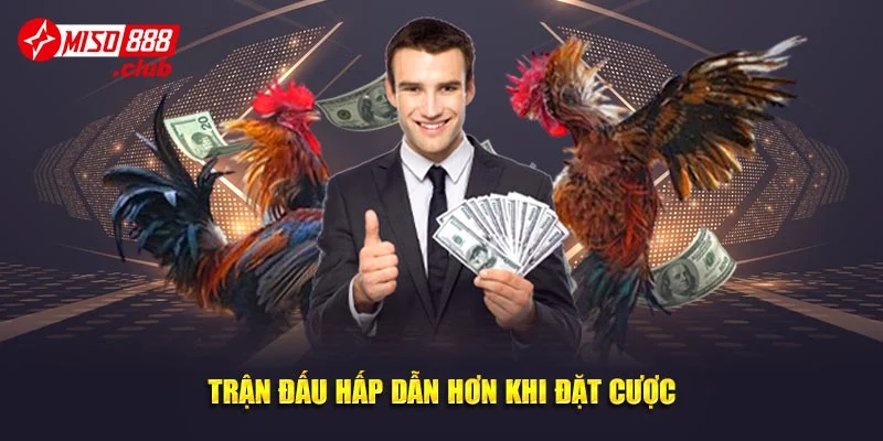 Trận đấu hấp dẫn hơn khi đặt cược