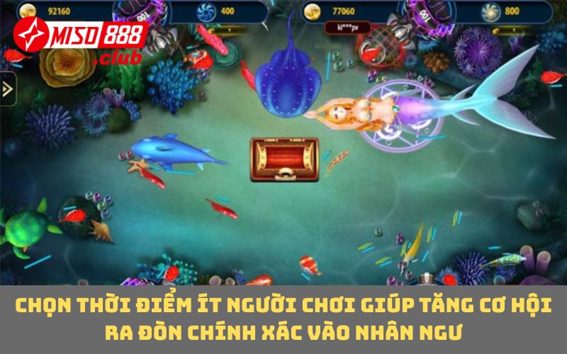 Chọn thời điểm ít người chơi giúp tăng cơ hội ra đòn chính xác vào nhân ngư