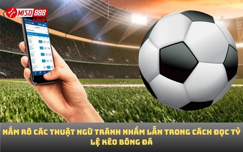 Nắm rõ các thuật ngữ tránh nhầm lẫn trong cách đọc tỷ lệ kèo bóng đá