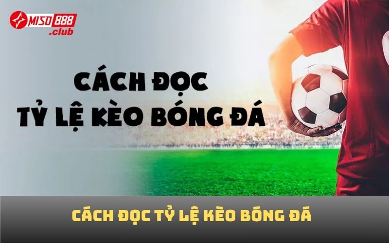 cách đọc tỷ lệ kèo bóng đá